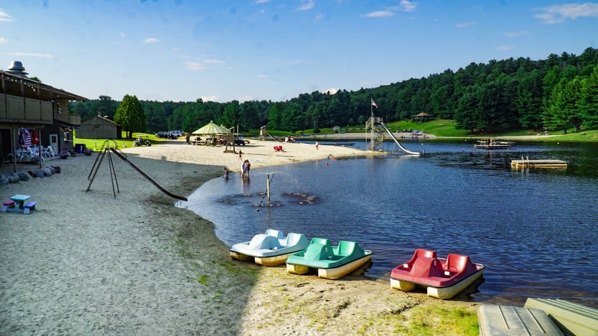 Paddle boats on the sand beside the lake